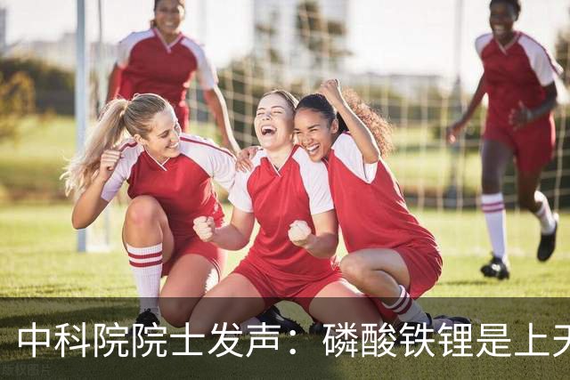 中科院院士发声：磷酸铁锂是上天的礼物，现有电动车足够好用。