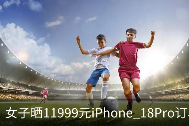 女子晒11999元iPhone 18Pro订单，不法分子先后找5名“跑腿”骑手，冒领手机后接力转运寄往外地，警方连夜拦截