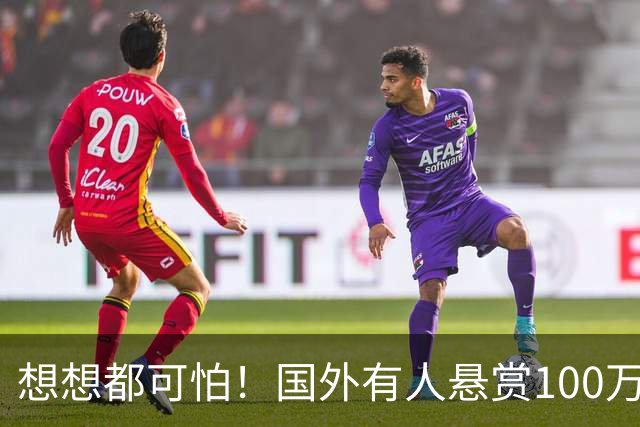 想想都可怕！国外有人悬赏100万，国内13人为其办事，赵冰牵头召集同伙，大咖博主评价此人：非常能闹腾，从30万抬到100万，自己拿了40万
