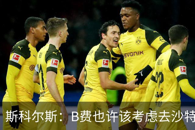 斯科尔斯：B费也许该考虑去沙特了；若我对弗格森说类似话会被狠批