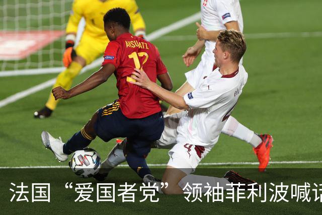 法国“爱国者党”领袖菲利波喊话：马克龙辞职、法国退出欧盟北约