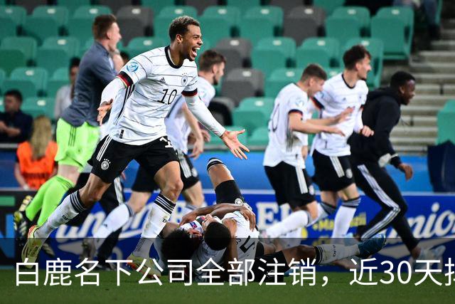 白鹿名下公司全部注销，近30天掉粉超144万，独立运营过渡期引关注