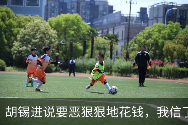 胡锡进说要恶狠狠地花钱，我信了，结果大A今天涨了