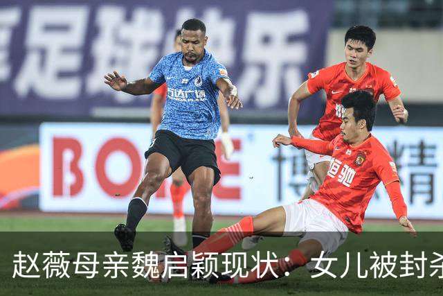 赵薇母亲魏启颖现状：女儿被封杀、儿子离婚、丈夫也撒手人寰