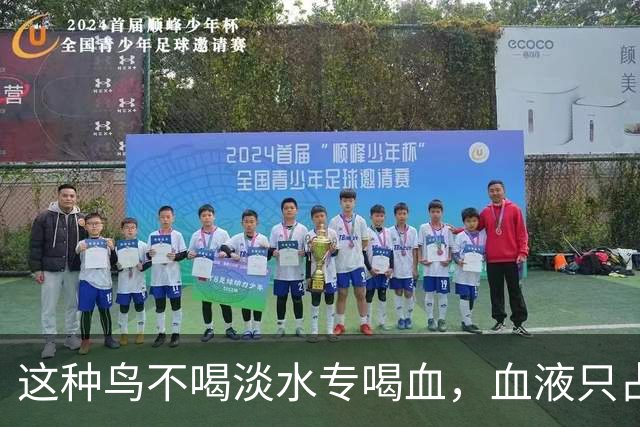 这种鸟不喝淡水专喝血，血液只占食谱十分之一